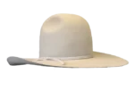 Walker Yellowstone Hat
